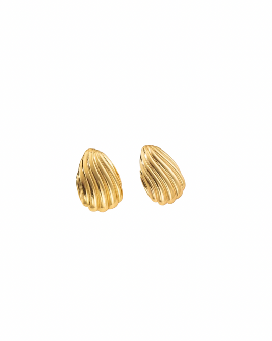 Shell Studs